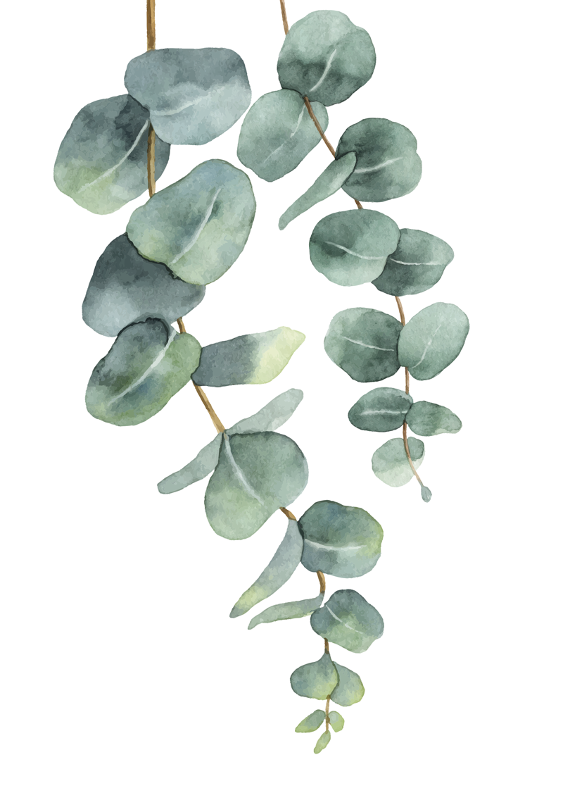 Floral vinyl carpet eucalyptus twigs - TenStickers