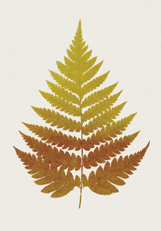 Floral vinyl carpet with golden fern leaf design - TenStickers