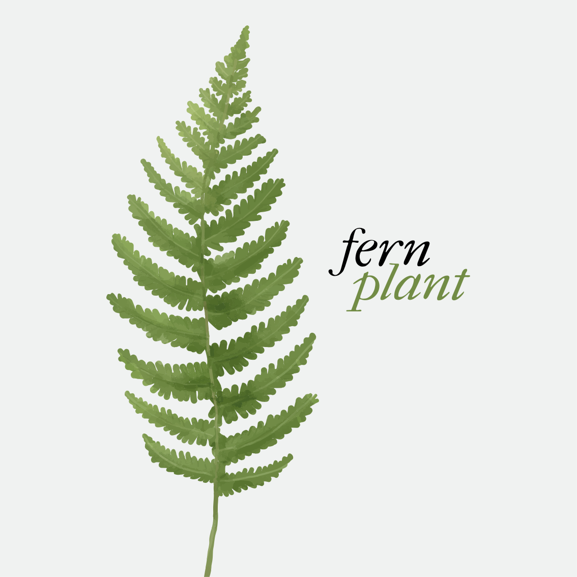 Custom vinyl carpet fern plant minimalist style 2 - TenStickers