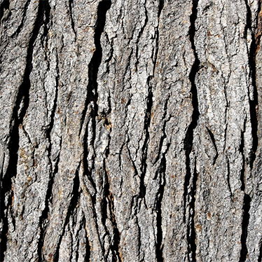 Texture vinyl carpet with realistic bark design - TenStickers