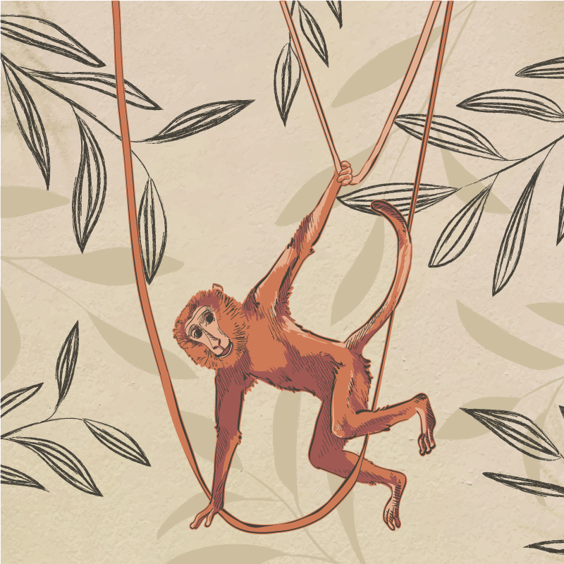 Kids vinyl carpet baby monkey swinging on a plant - TenStickers