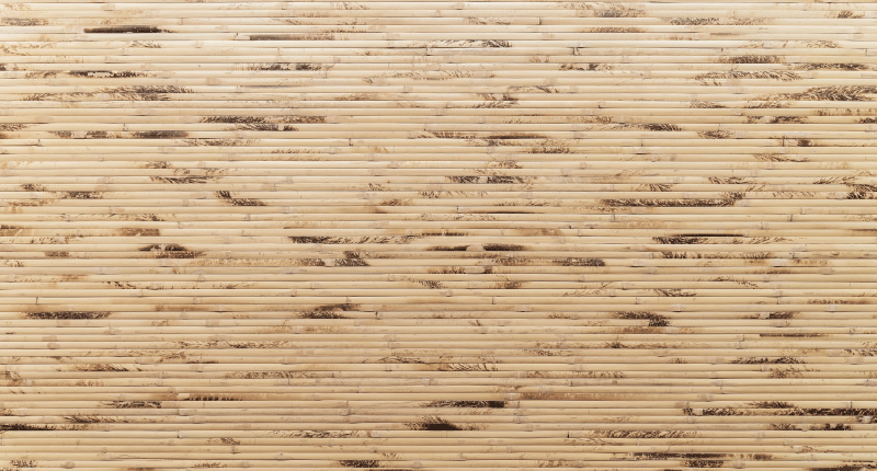 Entrance hall vinyl carpet with horizontal light brown slats - TenStickers
