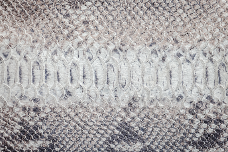 Grey vinyl carpet with grey snake print design - TenStickers