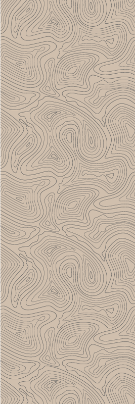 Beige vinyl carpet taupe topographic design - TenStickers