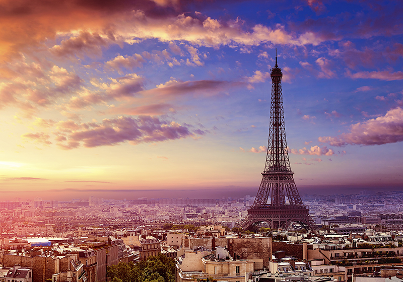 Purple vinyl carpet with parisian view - TenStickers