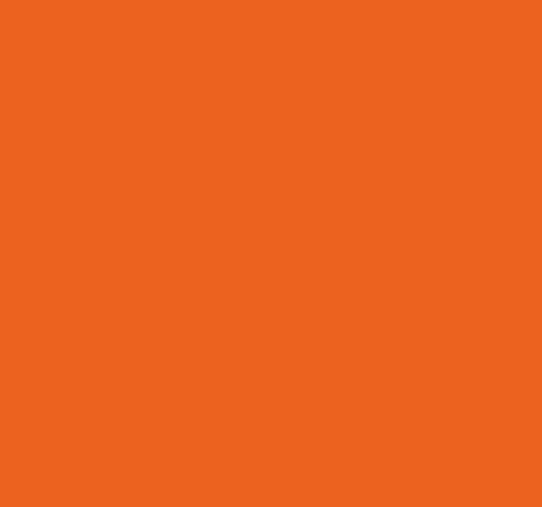 Citrus orange orange vinyl carpet - TenStickers