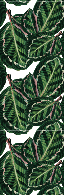 Green vinyl carpet with maranta design - TenStickers