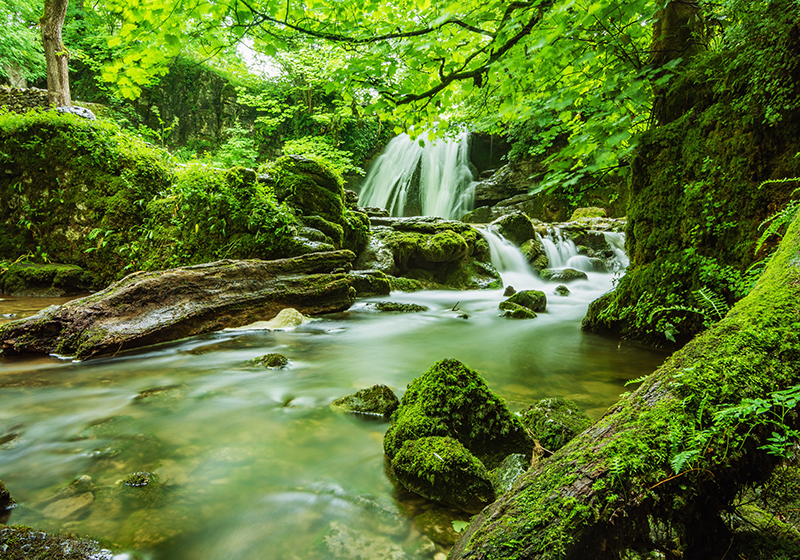 Green vinyl carpet calm waterfall - TenStickers