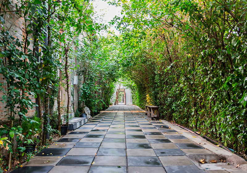 Green vinyl carpet serene garden pathway - TenStickers