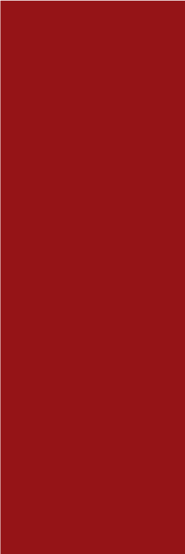 Red vinyl carpet in crimson elegance - TenStickers