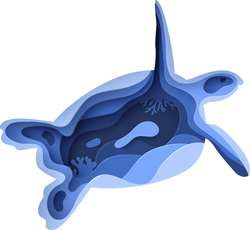 Sea Turtle Shape animal vinyl carpet - TenStickers