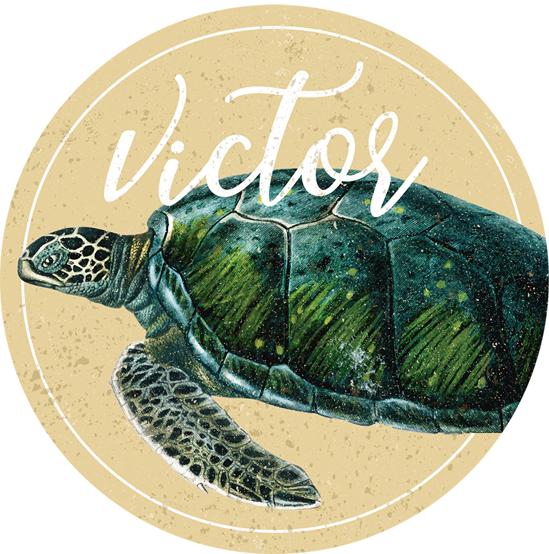Personalized Turtle custom vinyl carpet - TenStickers