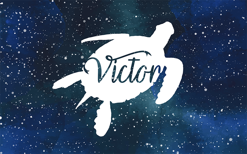 Starry Sea Turtle custom vinyl carpet - TenStickers