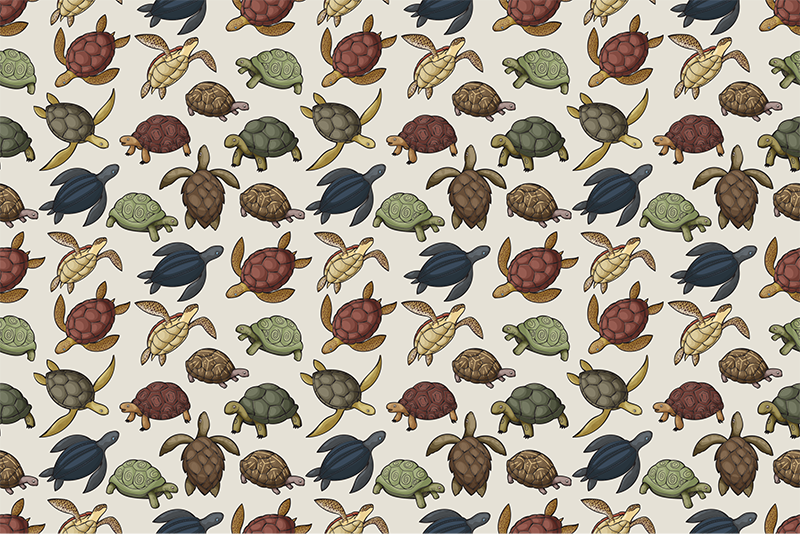 Turtle Illustration animal vinyl carpet - TenStickers
