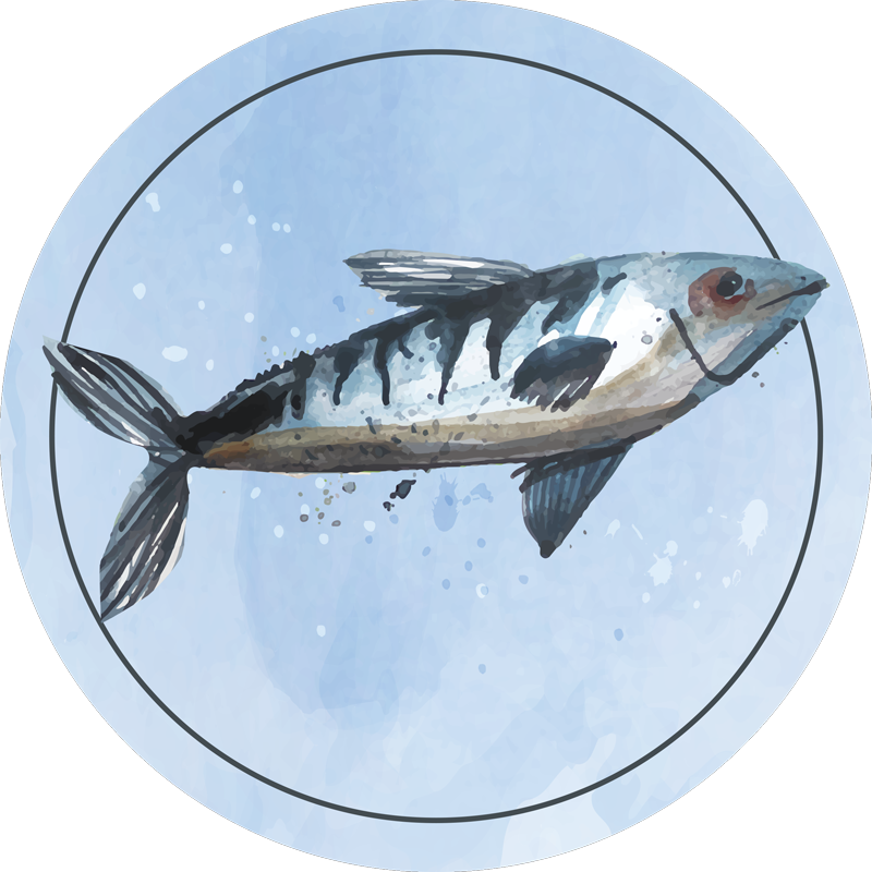 Aquatic Exploration animal vinyl carpet - TenStickers