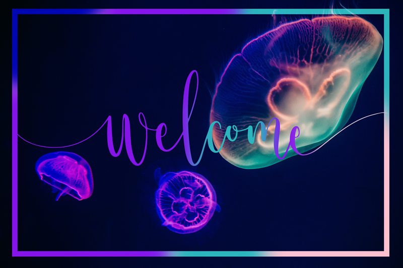 Jellyfish Welcome animal vinyl carpet - TenStickers