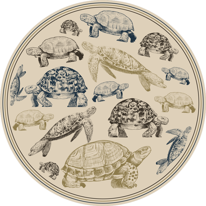 Turtle Illustrations animal vinyl carpet - TenStickers