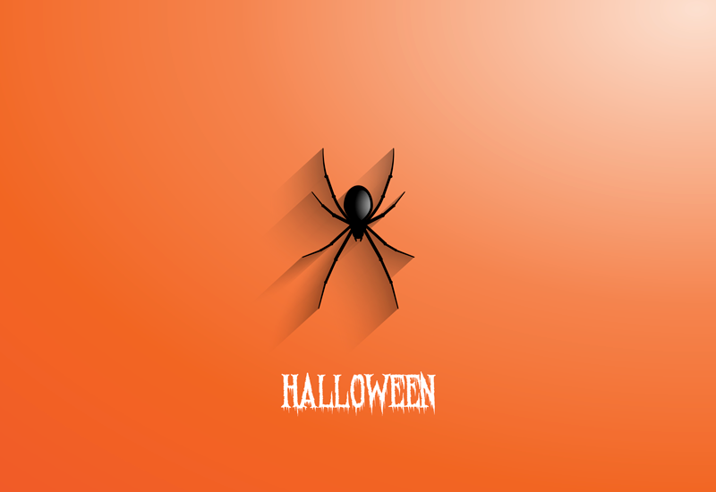 Halloween spider halloween vinyl carpet - TenStickers