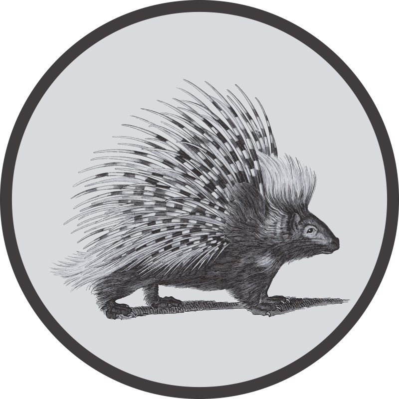 Porcupine Illustration animal vinyl carpet - TenStickers
