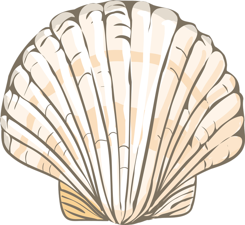 Seashell Illustration animal vinyl carpet - TenStickers
