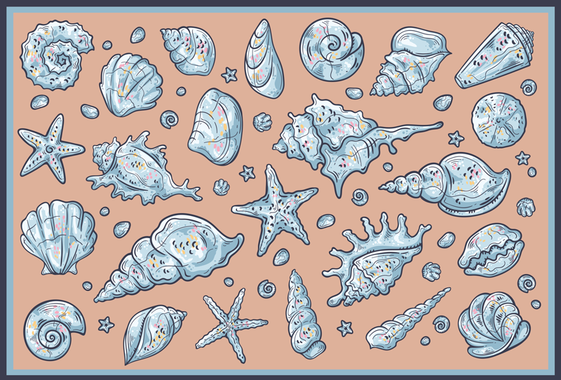 Seashell Illustrations nature vinyl carpet - TenStickers
