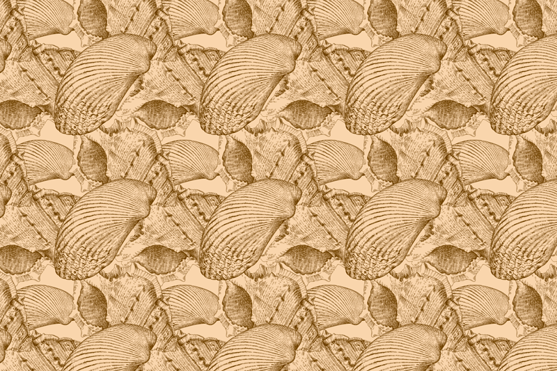 Illustrated Shell Pattern animal vinyl carpet - TenStickers