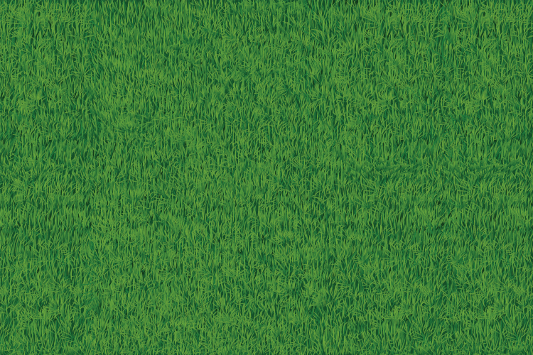Grass Textured Surface texture vinyl carpet - TenStickers