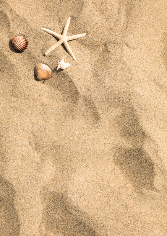 Beachfront Elegance outdoor vinyl carpet - TenStickers