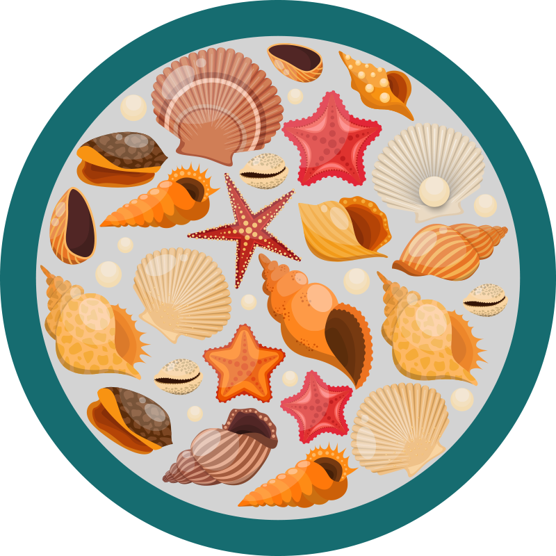 Seashell Collection animal vinyl carpet - TenStickers