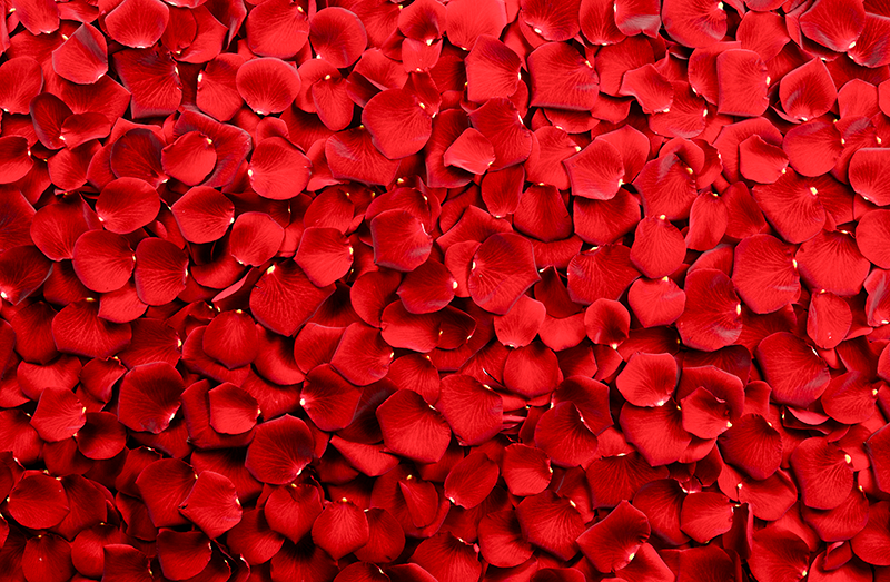 Red Petal Array floral vinyl carpet - TenStickers
