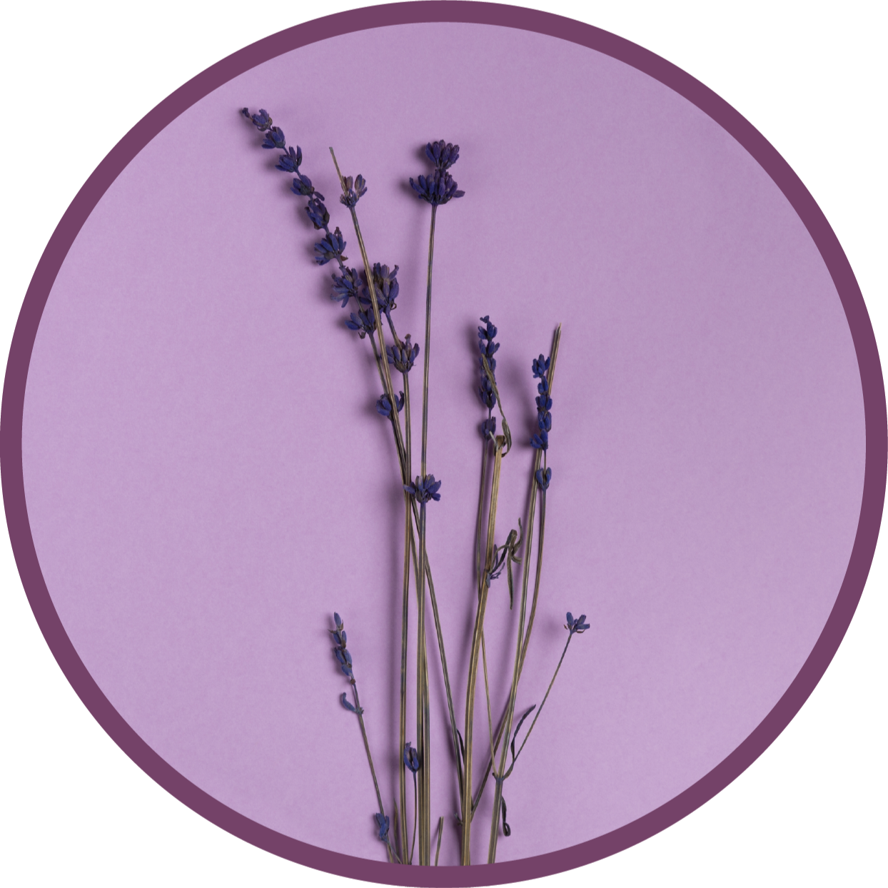 Lavender Silhouette floral vinyl carpet - TenStickers