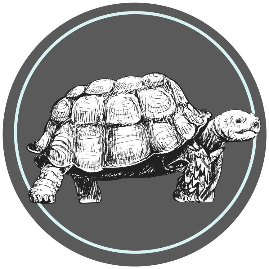 Illustrated Tortoise animal vinyl carpet - TenStickers