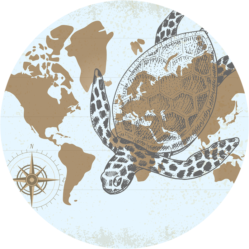 Turtle Compass Map world map vinyl carpet - TenStickers