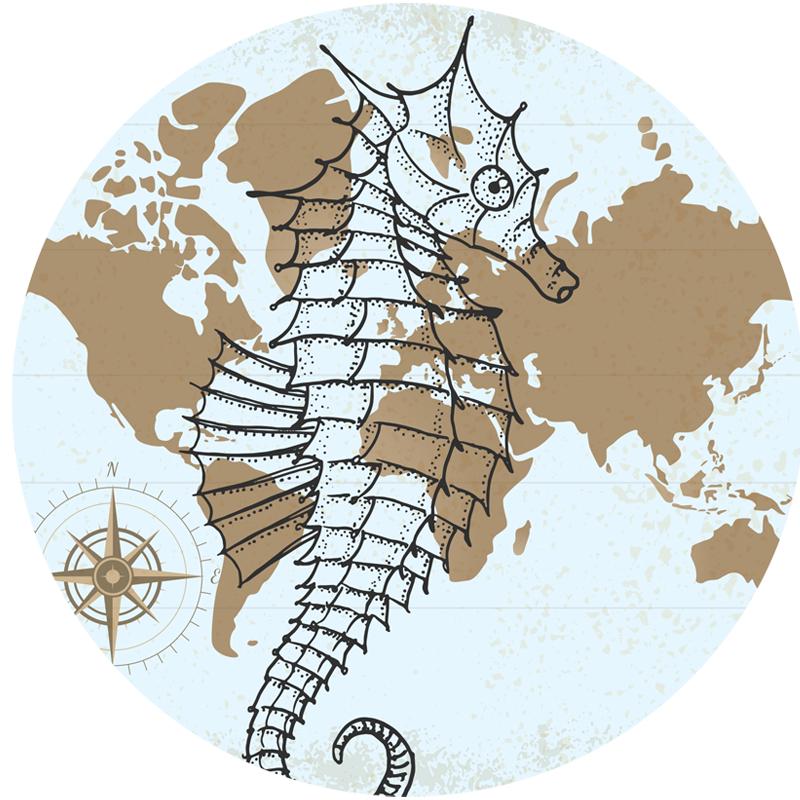 Seahorse Nautical Map animal vinyl carpet - TenStickers