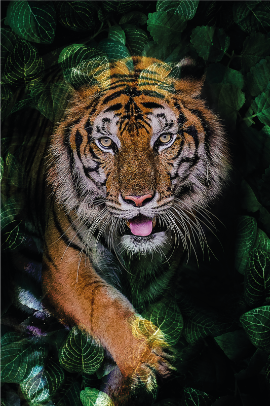 Tiger Foliage Portrayal animal vinyl carpet - TenStickers