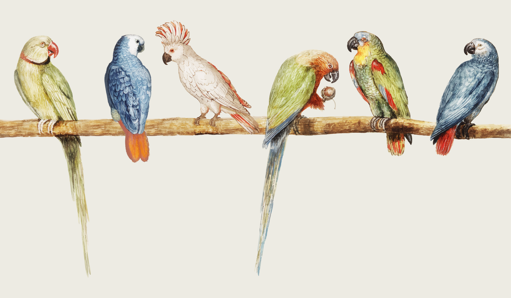 Parrot Perch Illustration animal vinyl carpet - TenStickers