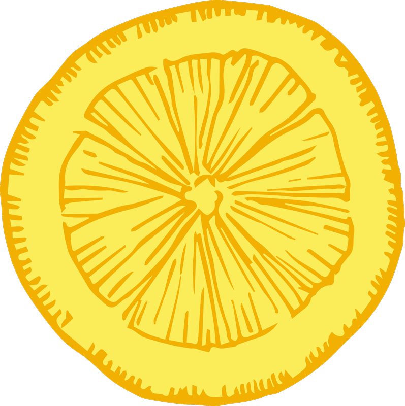 Yellow citrus slice kitchen vinyl carpet - TenStickers