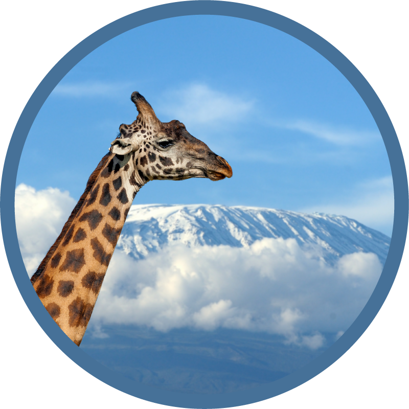 Giraffe majestic view animal vinyl carpet - TenStickers