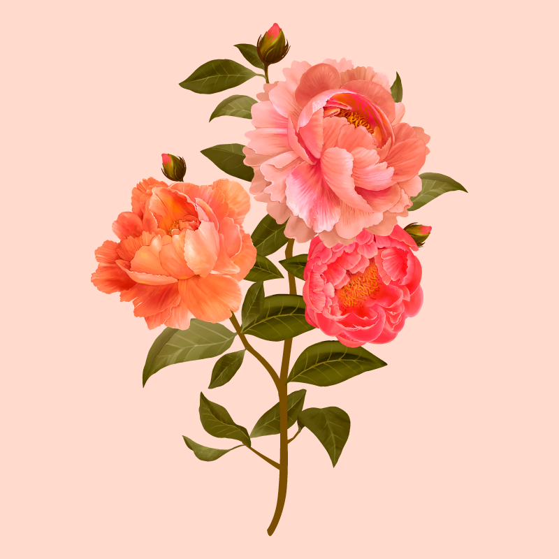 Peony arrangement floral vinyl carpet - TenStickers