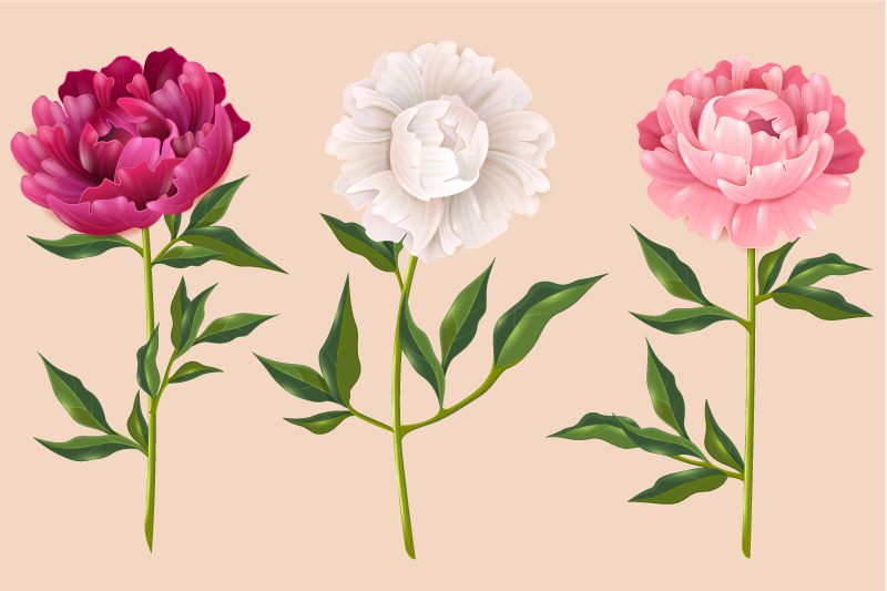 Elegant trio arrangement bathroom vinyl carpet - TenStickers