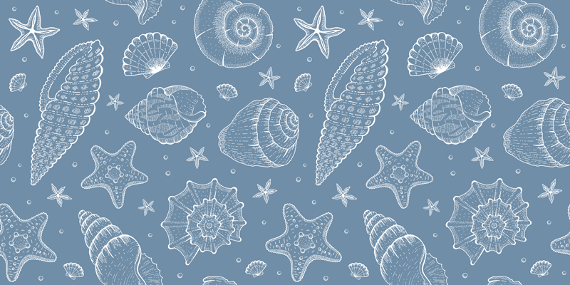 Sea Shells Pattern bathroom vinyl carpet - TenStickers