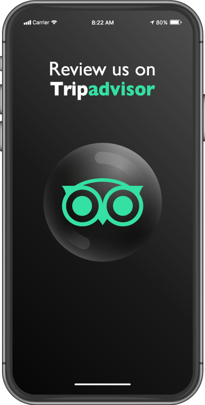 Review us on Tripadvisor sales vinyl carpet - TenStickers