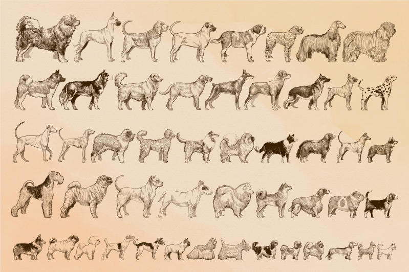 Beige dog illustrations animal vinyl carpet - TenStickers