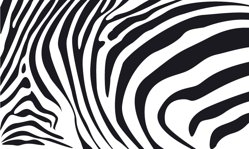 Animal print vinyl carpet zebra stripes - TenStickers