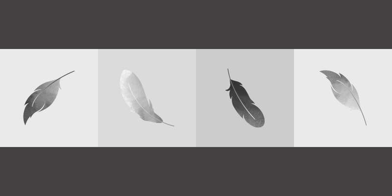 Feather minimalism animal vinyl carpet - TenStickers