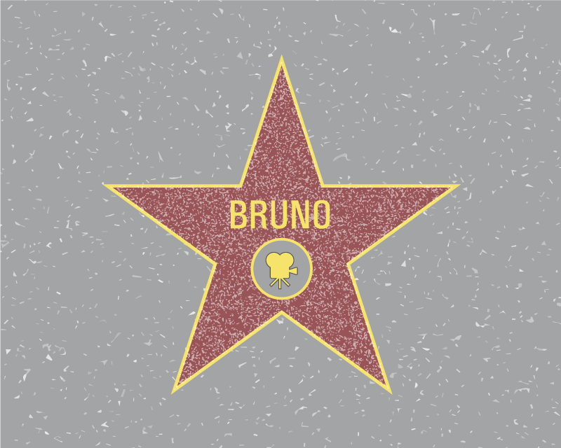 Star Recognition custom vinyl carpet - TenStickers