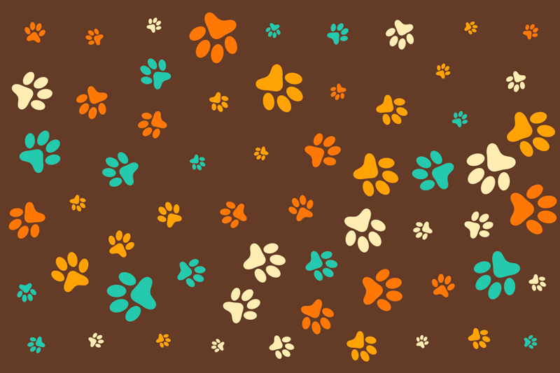 Vibrant Paw Motifs animal print vinyl carpet - TenStickers