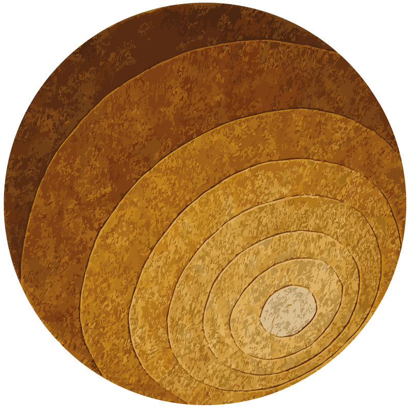 Nature layers wood effect vinyl carpet - TenStickers