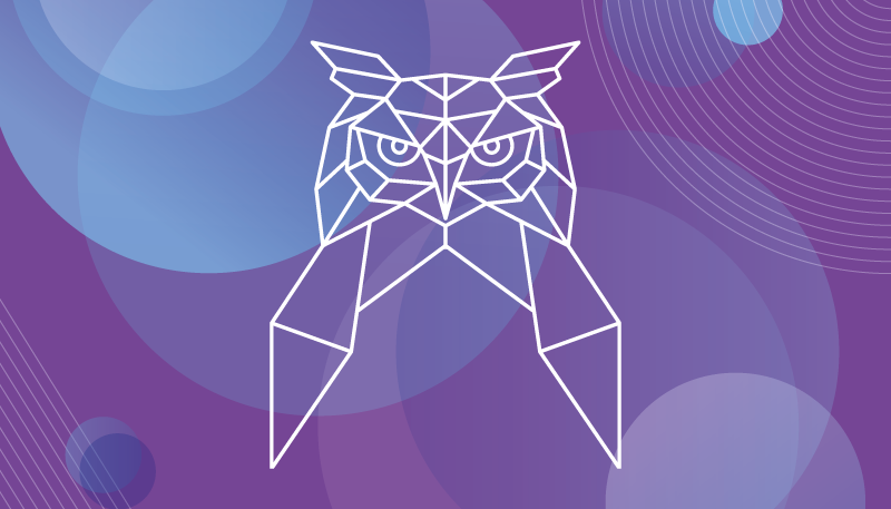 Geometric owl art animal vinyl carpet - TenStickers