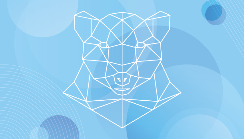 Geometric bear outline animal vinyl carpet - TenStickers